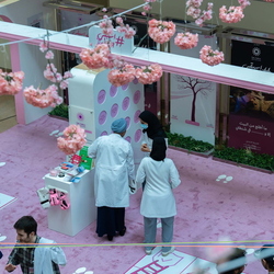 Breast Cancer Campaign - Oct 22