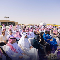 Air show - 19 Nov 
