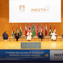 MESTRO - 27 Nov 