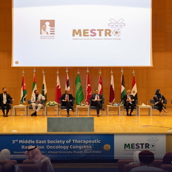 MESTRO - 27 Nov 