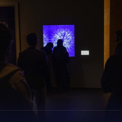 Visiting the Diriya Art Futures (DAF) Museum 12-2